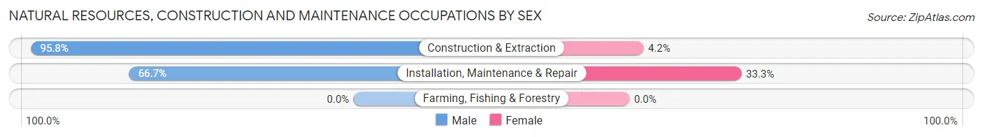 Natural Resources, Construction and Maintenance Occupations by Sex in Crawfordsville