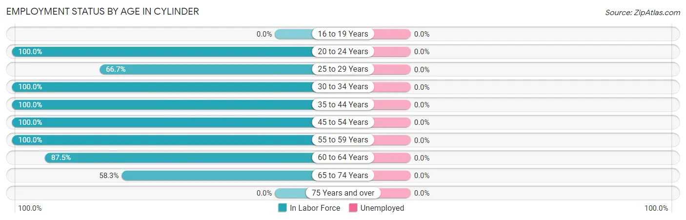 Employment Status by Age in Cylinder