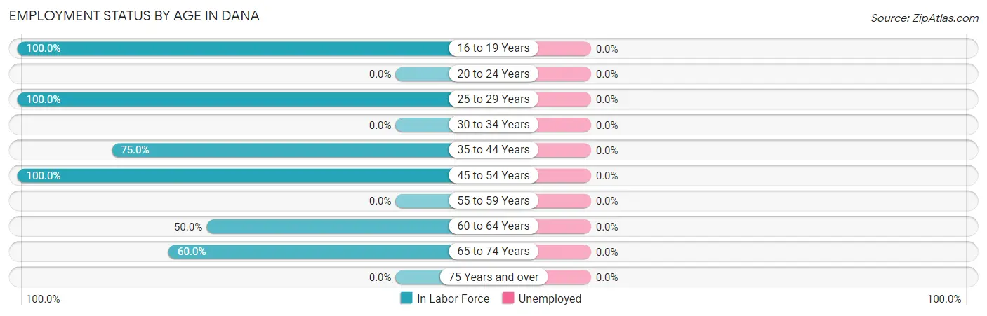 Employment Status by Age in Dana