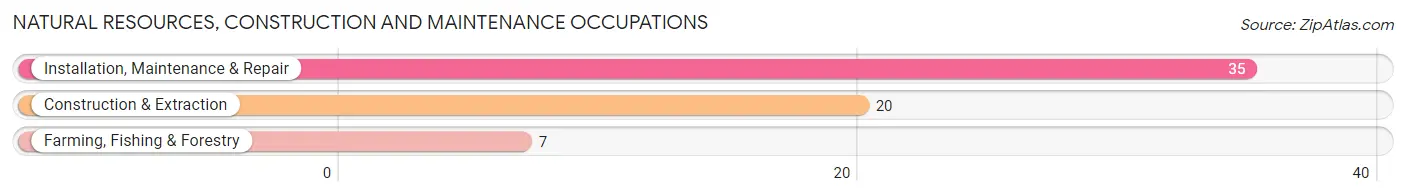 Natural Resources, Construction and Maintenance Occupations in Danville