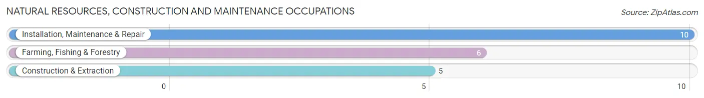 Natural Resources, Construction and Maintenance Occupations in Davis City