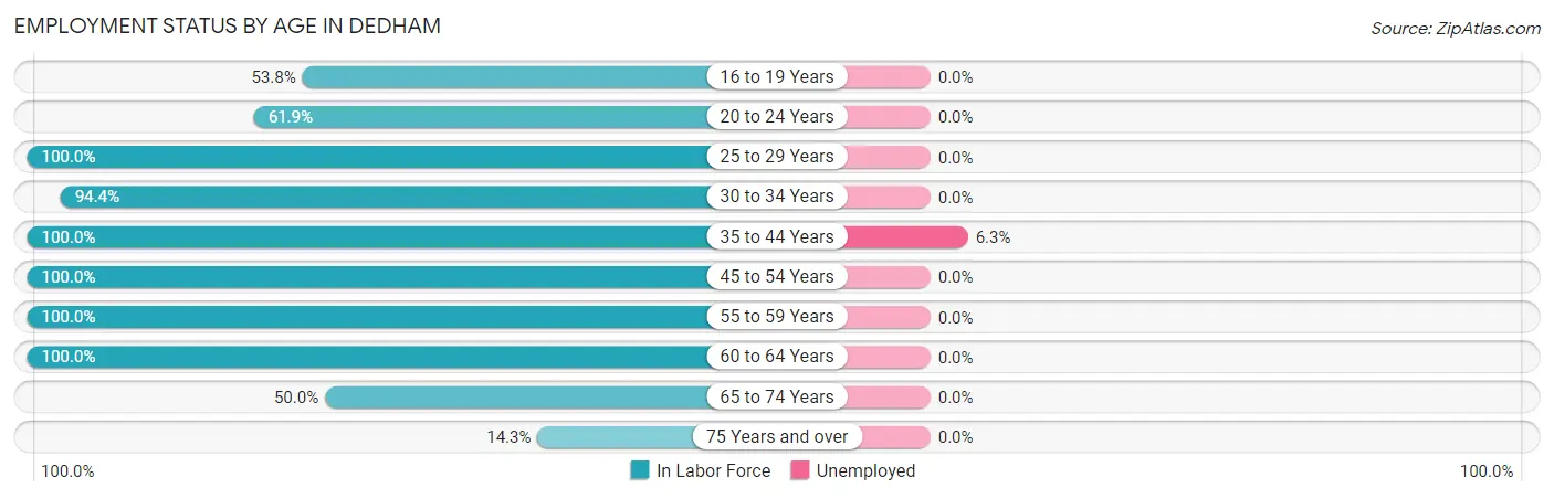 Employment Status by Age in Dedham