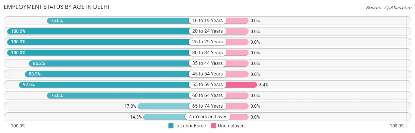 Employment Status by Age in Delhi