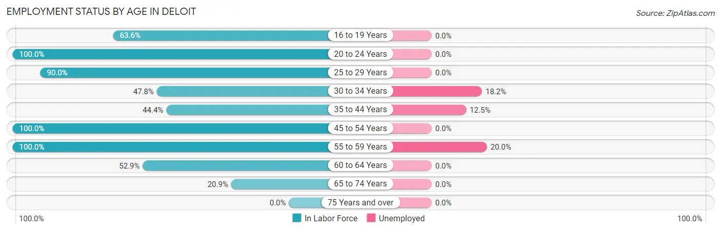 Employment Status by Age in Deloit