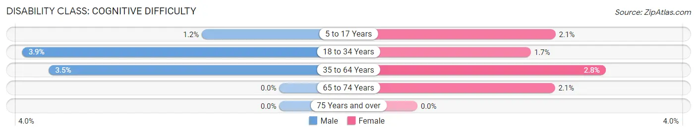 Disability in Denver: <span>Cognitive Difficulty</span>