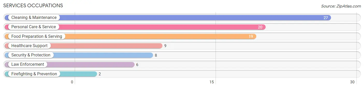 Services Occupations in Denver