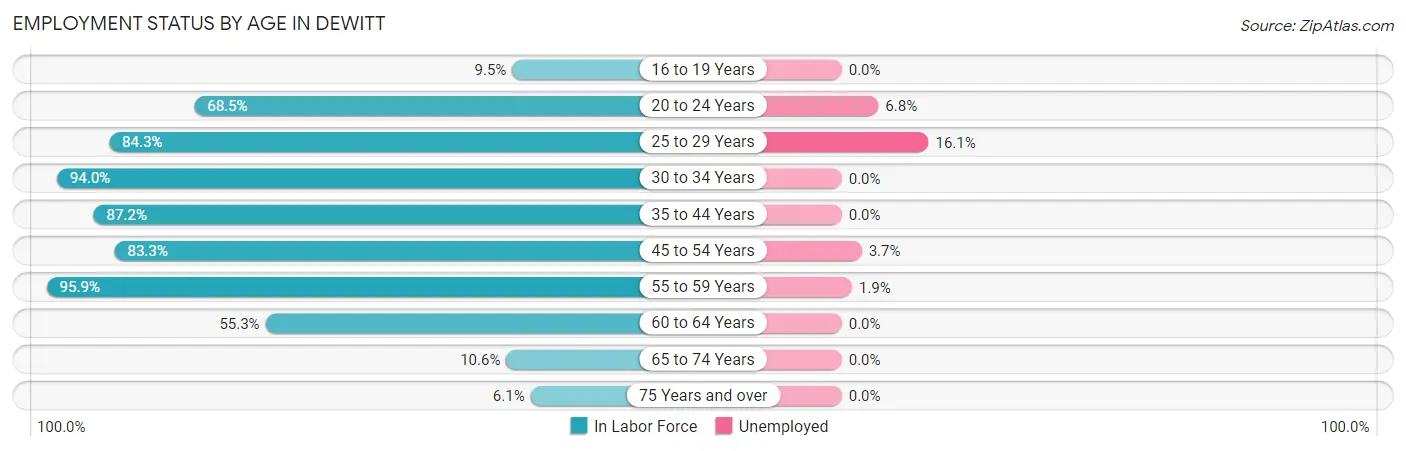Employment Status by Age in DeWitt