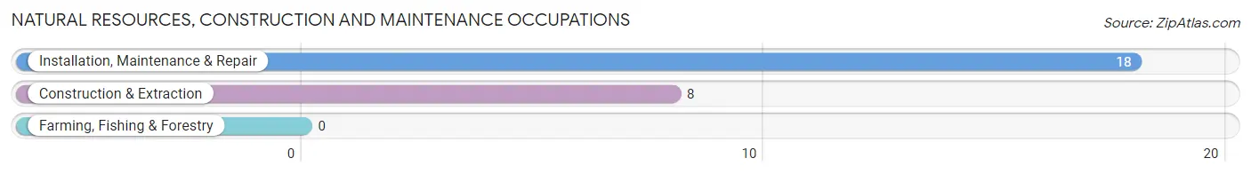 Natural Resources, Construction and Maintenance Occupations in Diagonal