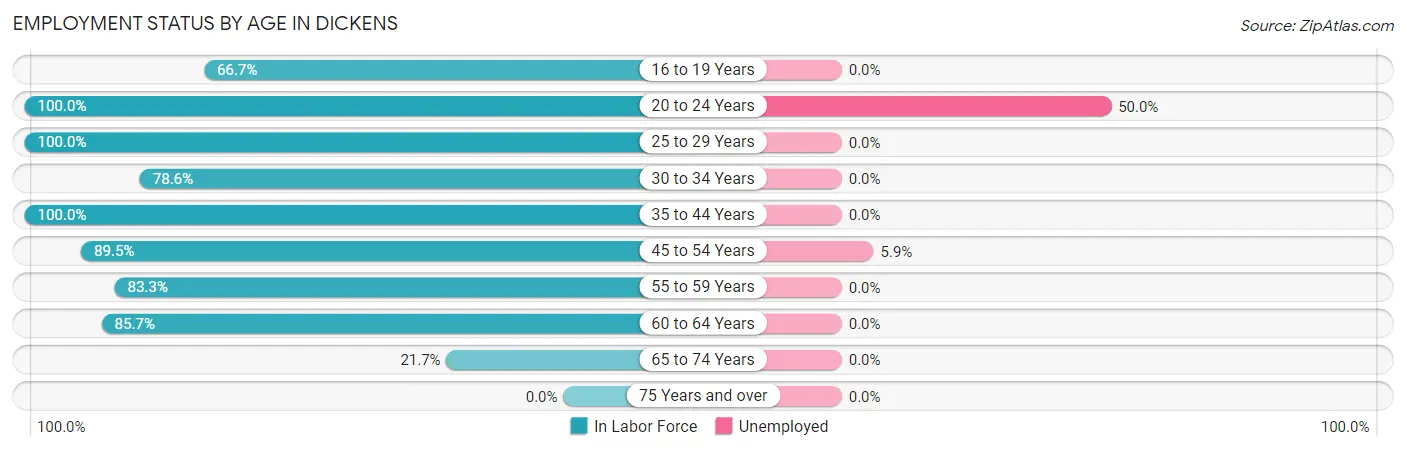 Employment Status by Age in Dickens