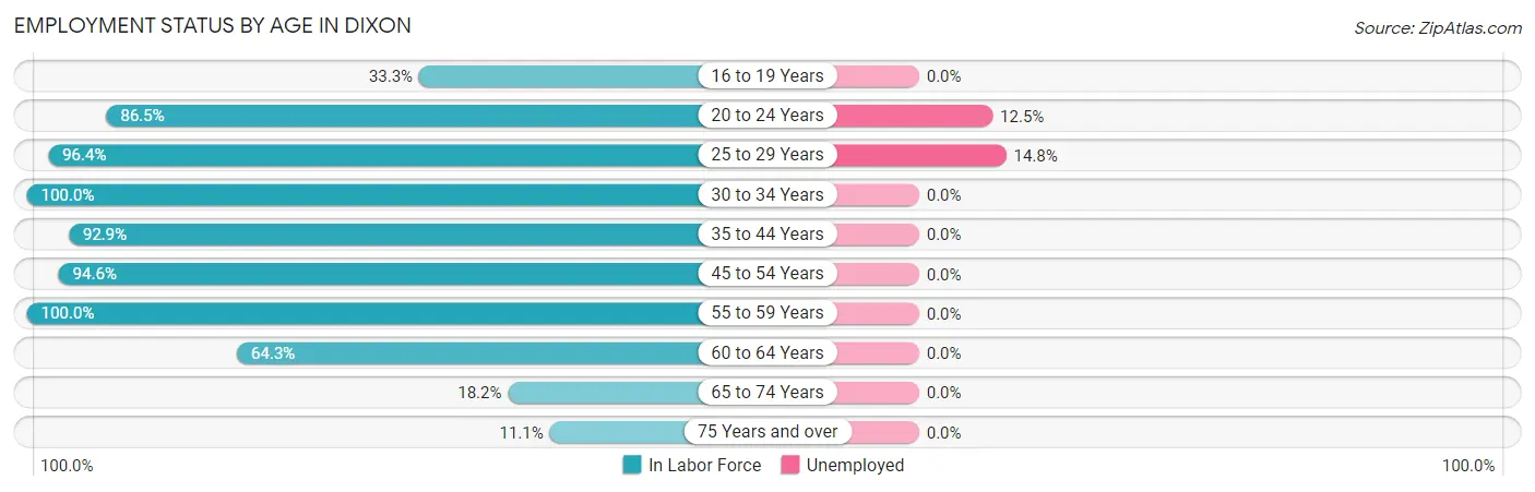 Employment Status by Age in Dixon