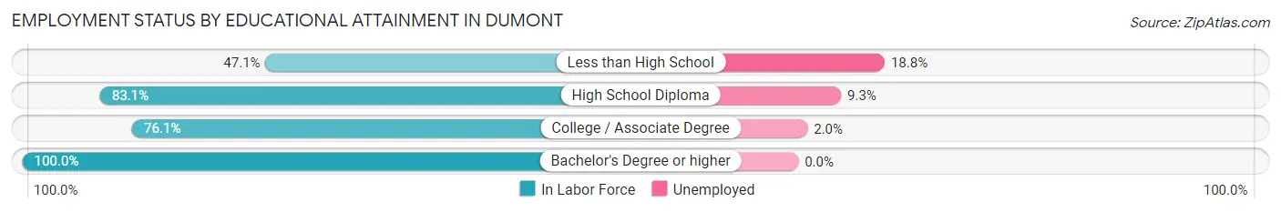 Employment Status by Educational Attainment in Dumont
