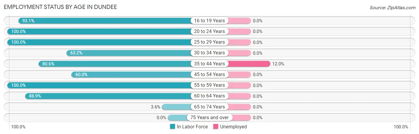 Employment Status by Age in Dundee
