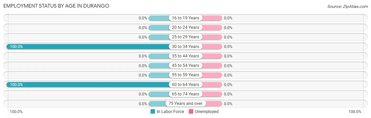 Employment Status by Age in Durango