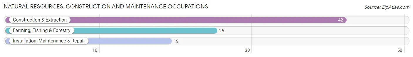 Natural Resources, Construction and Maintenance Occupations in Early