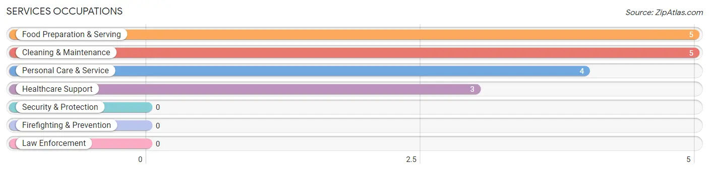 Services Occupations in East Peru