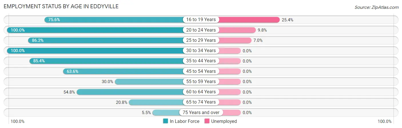 Employment Status by Age in Eddyville