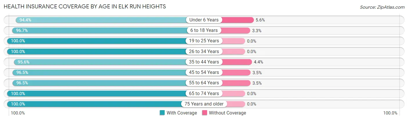 Health Insurance Coverage by Age in Elk Run Heights
