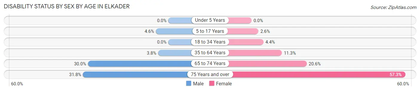 Disability Status by Sex by Age in Elkader