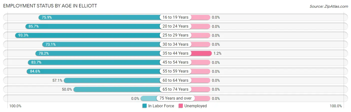 Employment Status by Age in Elliott
