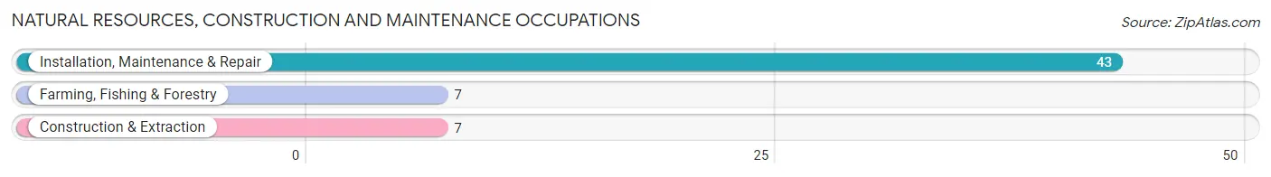 Natural Resources, Construction and Maintenance Occupations in Elma