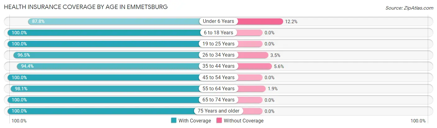Health Insurance Coverage by Age in Emmetsburg