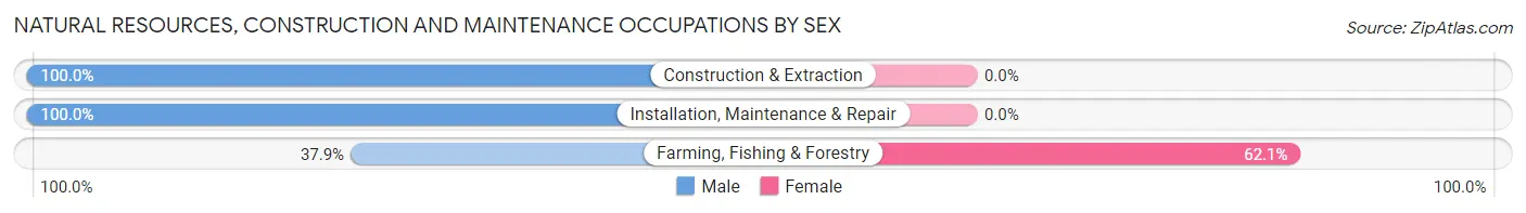 Natural Resources, Construction and Maintenance Occupations by Sex in Emmetsburg
