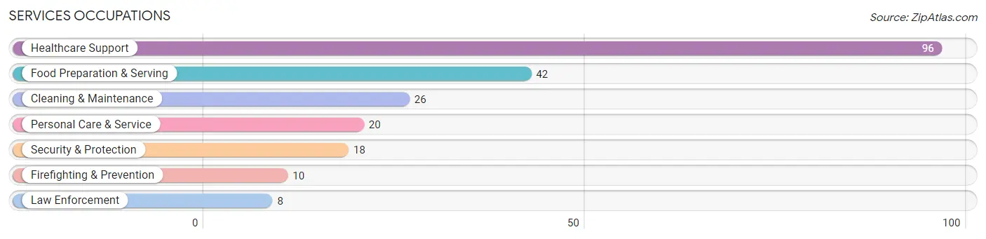 Services Occupations in Emmetsburg