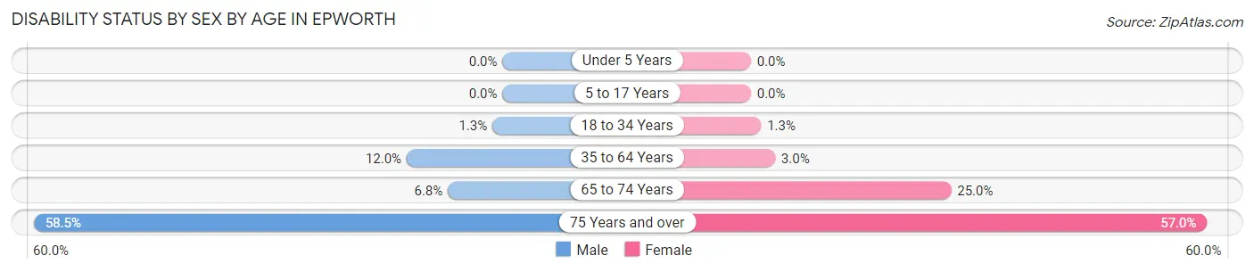 Disability Status by Sex by Age in Epworth