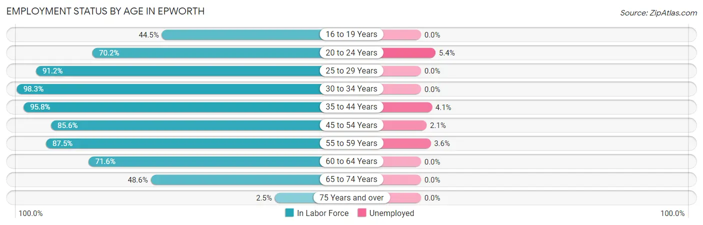Employment Status by Age in Epworth