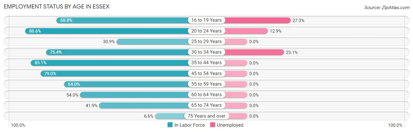 Employment Status by Age in Essex