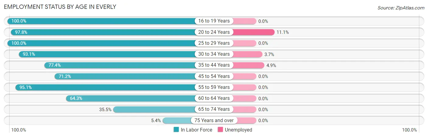 Employment Status by Age in Everly