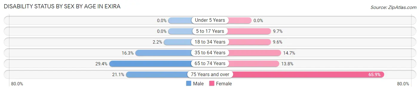 Disability Status by Sex by Age in Exira