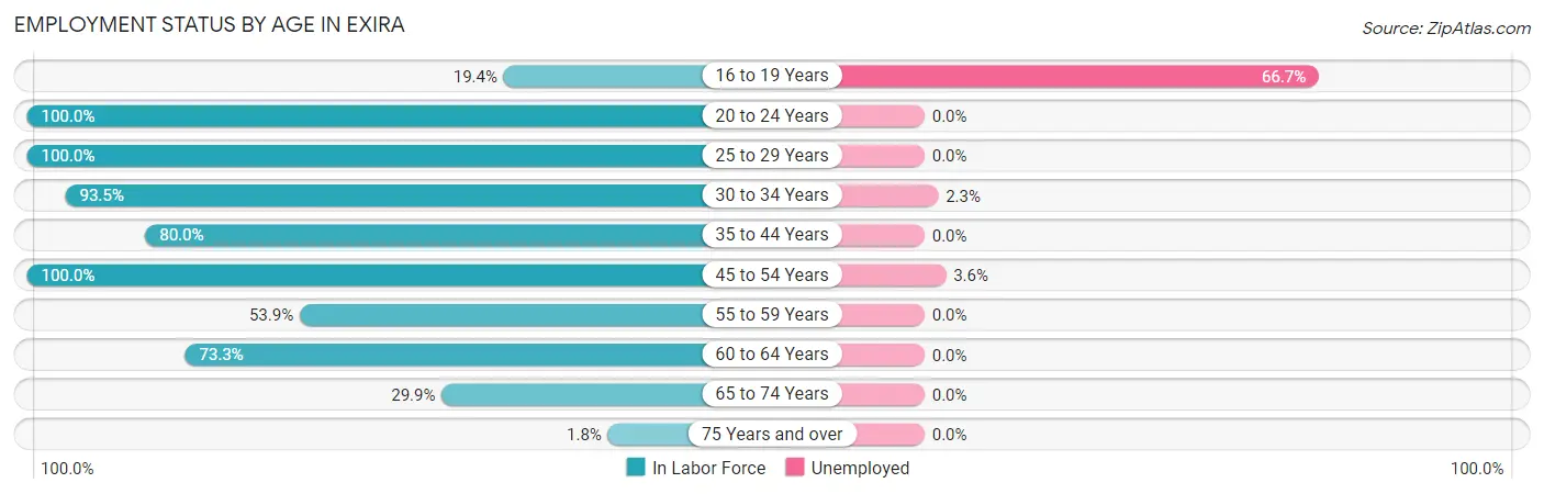 Employment Status by Age in Exira