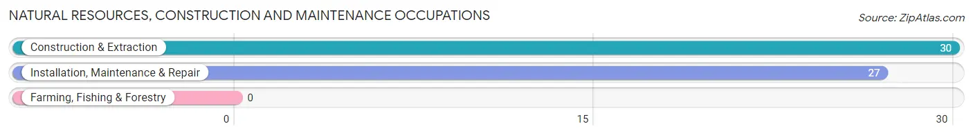 Natural Resources, Construction and Maintenance Occupations in Farmersburg