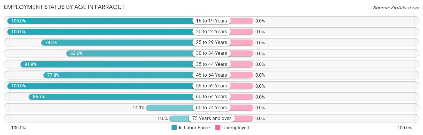 Employment Status by Age in Farragut