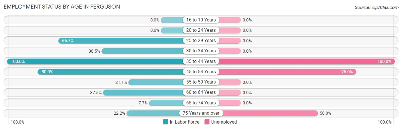 Employment Status by Age in Ferguson