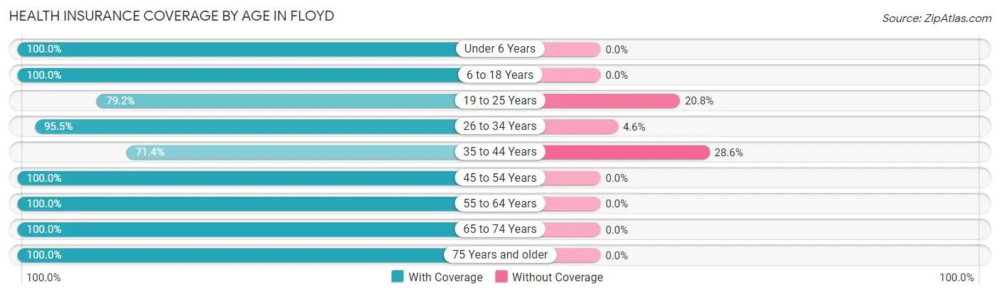 Health Insurance Coverage by Age in Floyd