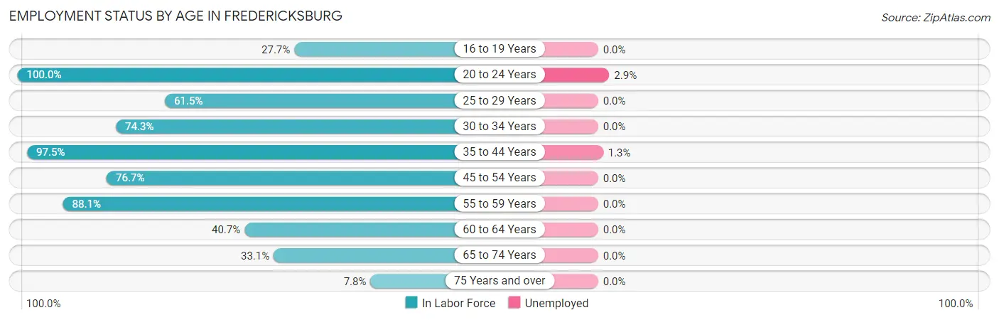 Employment Status by Age in Fredericksburg