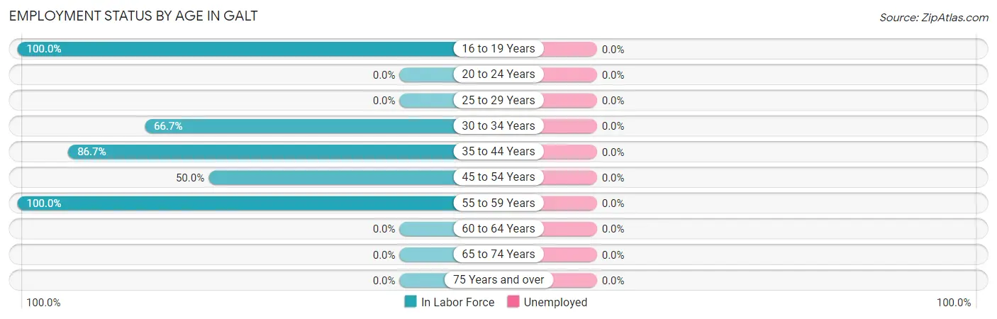 Employment Status by Age in Galt