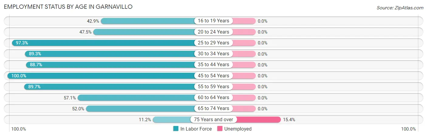 Employment Status by Age in Garnavillo