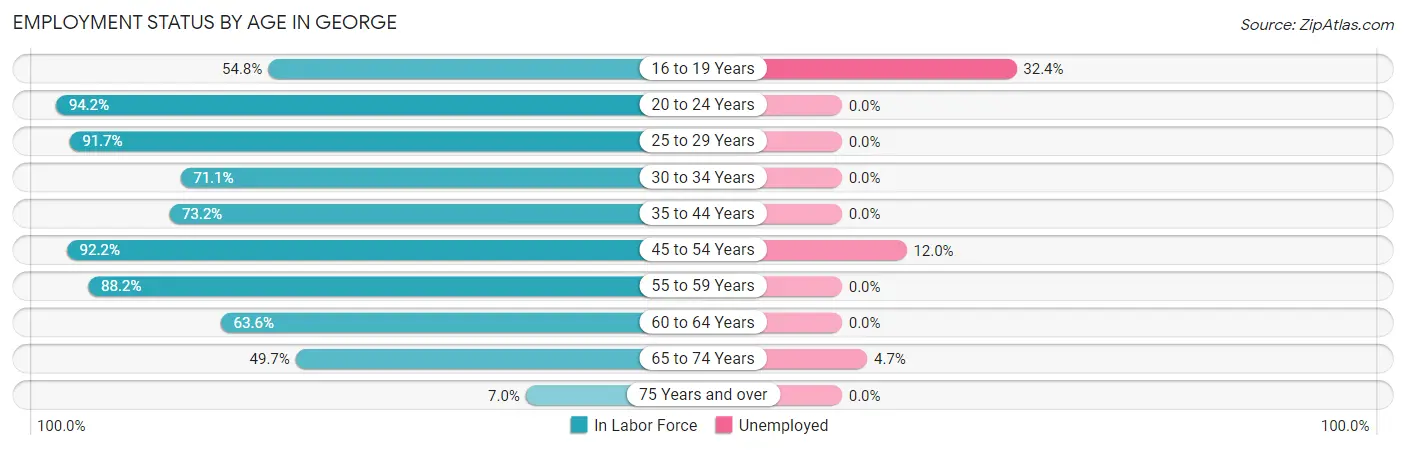 Employment Status by Age in George