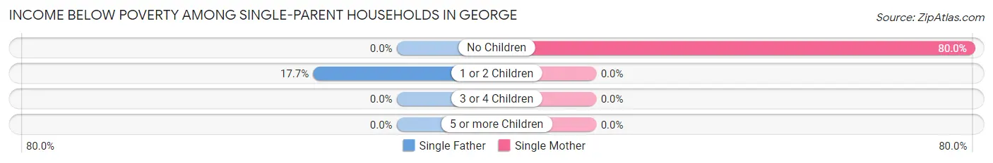 Income Below Poverty Among Single-Parent Households in George