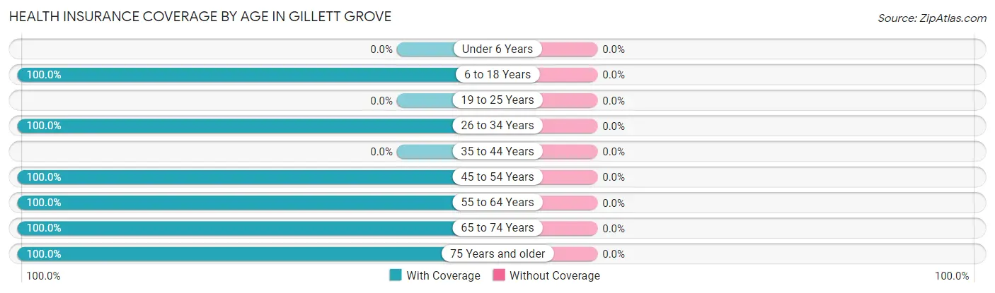 Health Insurance Coverage by Age in Gillett Grove