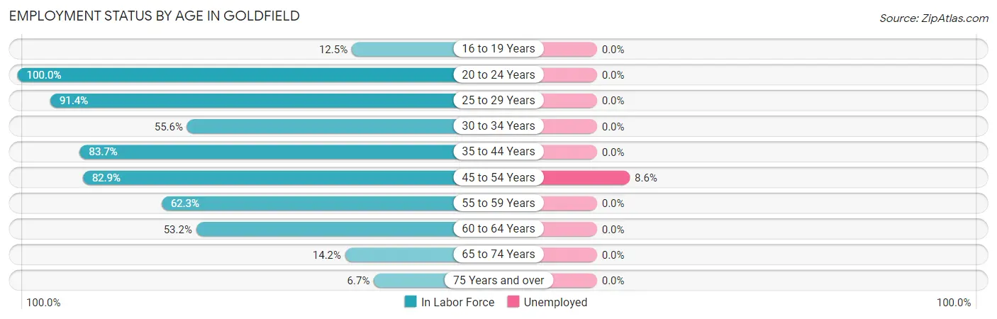 Employment Status by Age in Goldfield