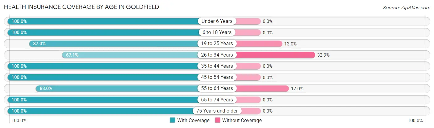 Health Insurance Coverage by Age in Goldfield