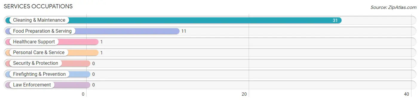 Services Occupations in Goldfield