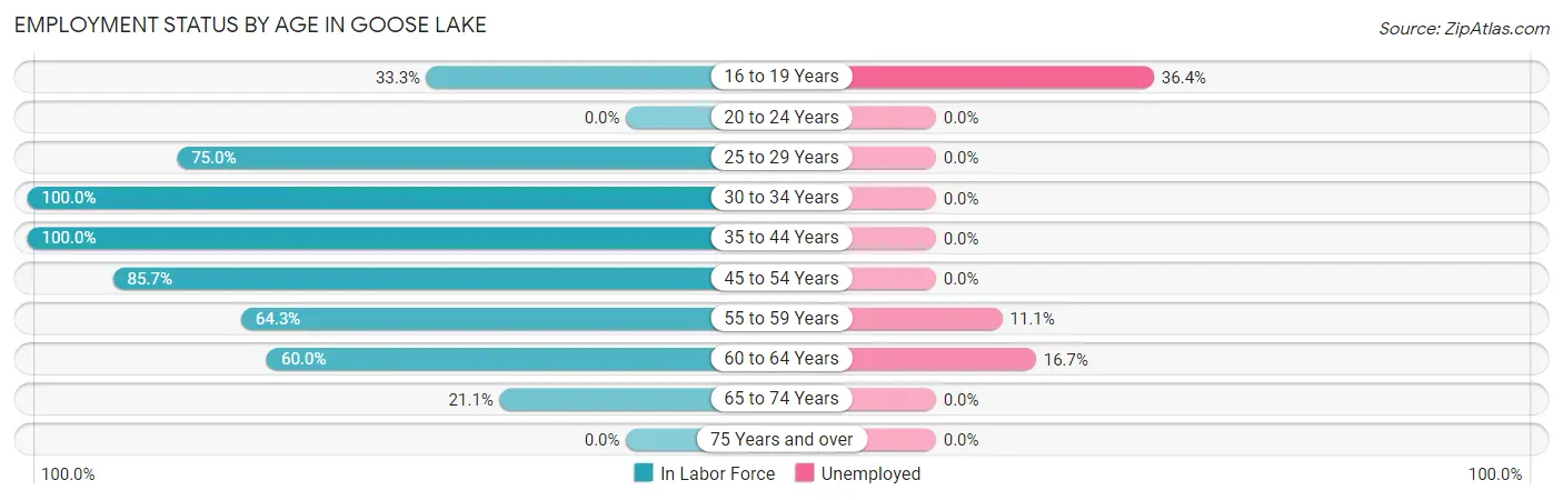Employment Status by Age in Goose Lake