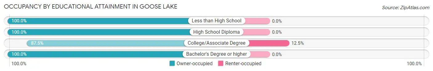 Occupancy by Educational Attainment in Goose Lake