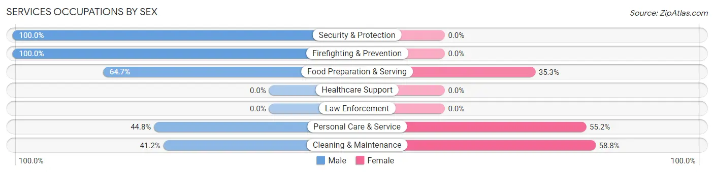Services Occupations by Sex in Graettinger