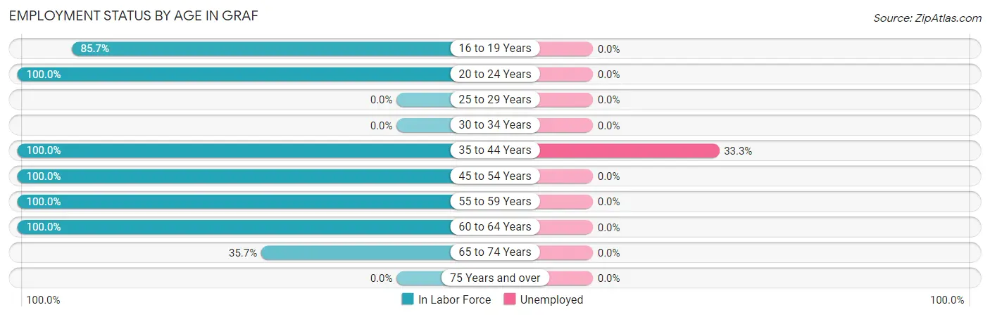Employment Status by Age in Graf